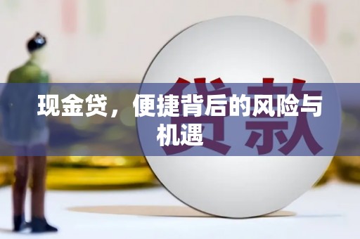 冀州现金贷，便捷背后的风险与机遇
