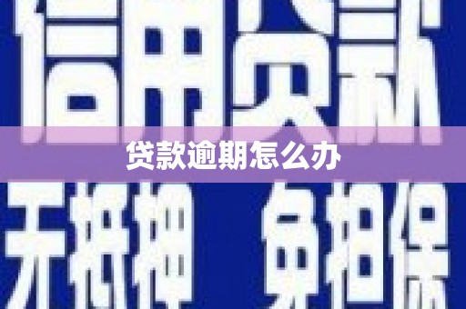 冀州贷款逾期怎么办