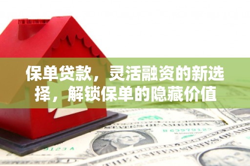 冀州保单贷款，灵活融资的新选择，解锁保单的隐藏价值