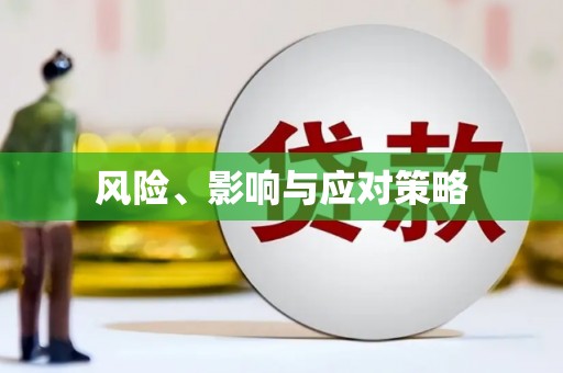 冀州风险、影响与应对策略