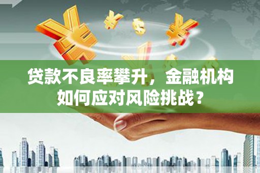 冀州贷款不良率攀升，金融机构如何应对风险挑战？