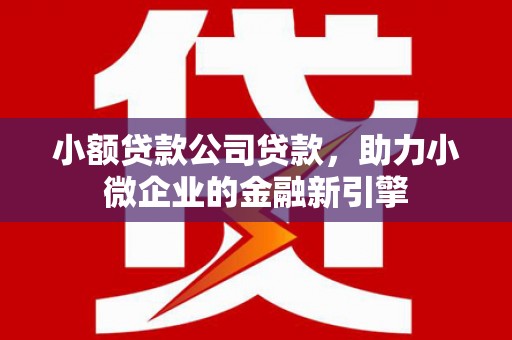 冀州小额贷款公司贷款，助力小微企业的金融新引擎