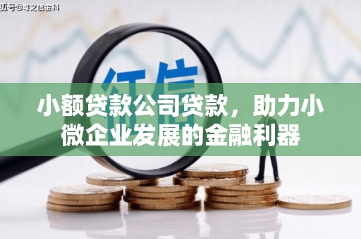 冀州小额贷款公司贷款，助力小微企业发展的金融利器