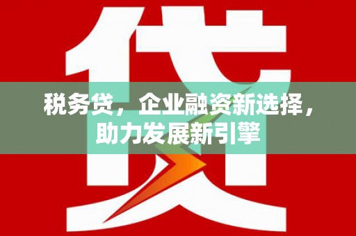 冀州税务贷，企业融资新选择，助力发展新引擎