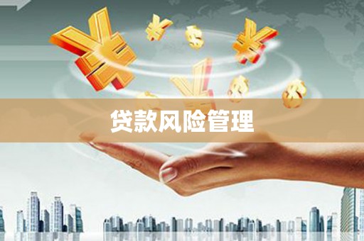 冀州贷款风险管理