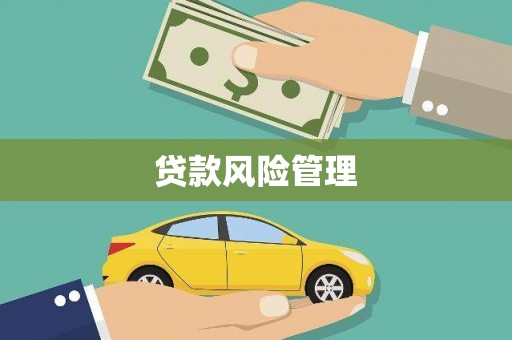 冀州贷款风险管理