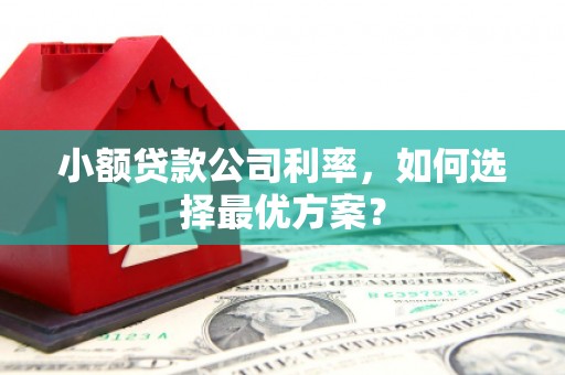 冀州小额贷款公司利率，如何选择最优方案？