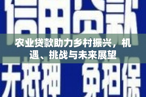 冀州农业贷款助力乡村振兴，机遇、挑战与未来展望