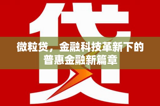 冀州微粒贷，金融科技革新下的普惠金融新篇章