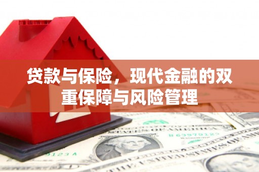 冀州贷款与保险，现代金融的双重保障与风险管理