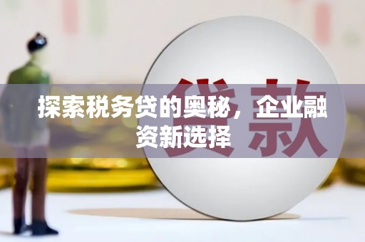 冀州探索税务贷的奥秘，企业融资新选择