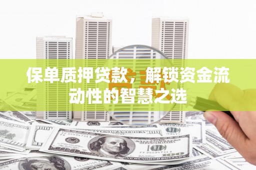 冀州保单质押贷款，解锁资金流动性的智慧之选