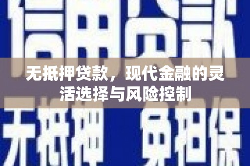 冀州无抵押贷款，现代金融的灵活选择与风险控制