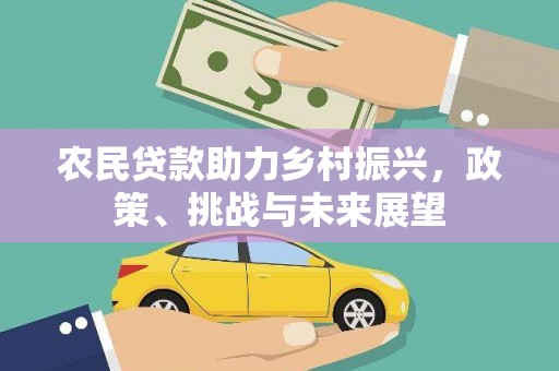 冀州农民贷款助力乡村振兴，政策、挑战与未来展望