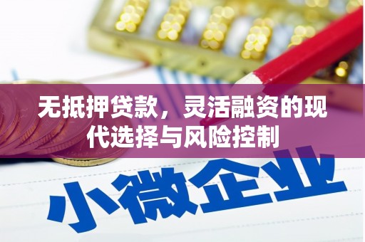 冀州无抵押贷款，灵活融资的现代选择与风险控制