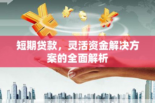 冀州短期贷款，灵活资金解决方案的全面解析