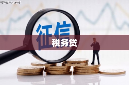 冀州税务贷