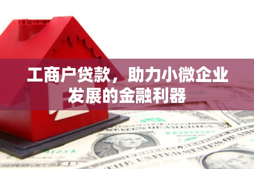 冀州工商户贷款，助力小微企业发展的金融利器