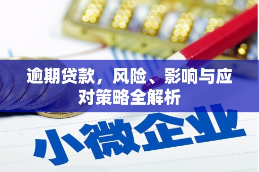 冀州逾期贷款，风险、影响与应对策略全解析