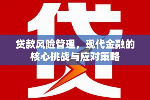 冀州贷款风险管理，现代金融的核心挑战与应对策略