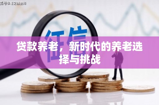 冀州贷款养老，新时代的养老选择与挑战
