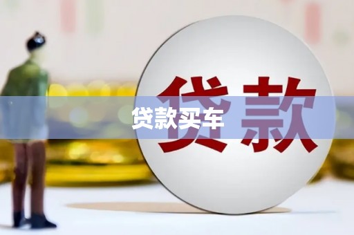 冀州贷款买车