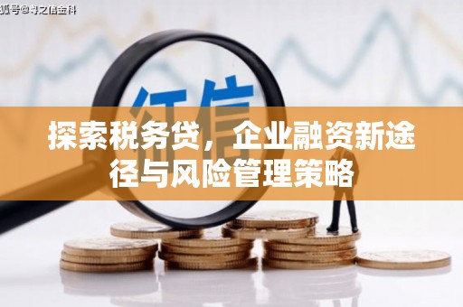 冀州探索税务贷，企业融资新途径与风险管理策略
