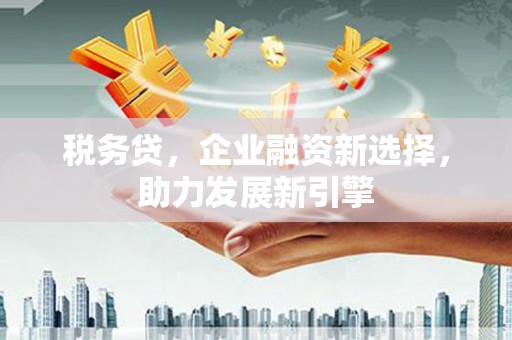 冀州税务贷，企业融资新选择，助力发展新引擎