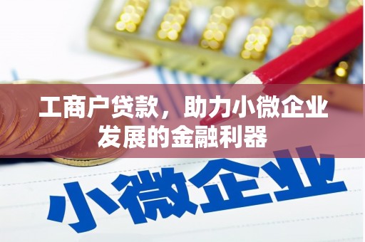 冀州工商户贷款，助力小微企业发展的金融利器