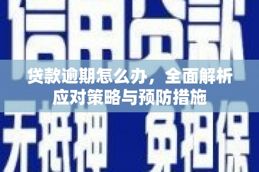 冀州贷款逾期怎么办，全面解析应对策略与预防措施