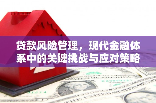冀州贷款风险管理，现代金融体系中的关键挑战与应对策略