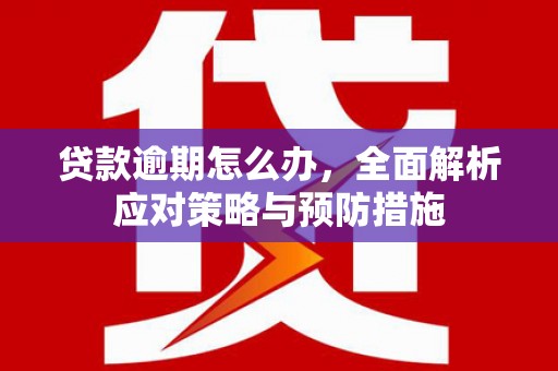 冀州贷款逾期怎么办，全面解析应对策略与预防措施
