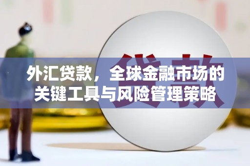 冀州外汇贷款，全球金融市场的关键工具与风险管理策略