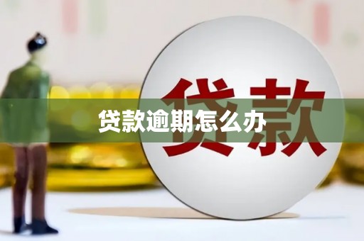 冀州贷款逾期怎么办
