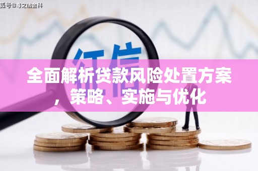 冀州全面解析贷款风险处置方案，策略、实施与优化