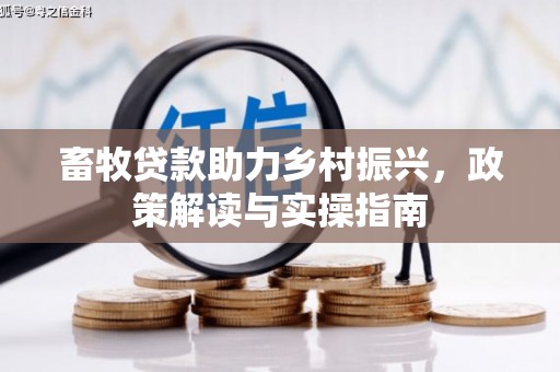 冀州畜牧贷款助力乡村振兴，政策解读与实操指南