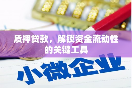 冀州质押贷款，解锁资金流动性的关键工具