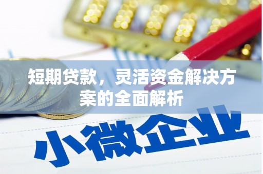 冀州短期贷款，灵活资金解决方案的全面解析