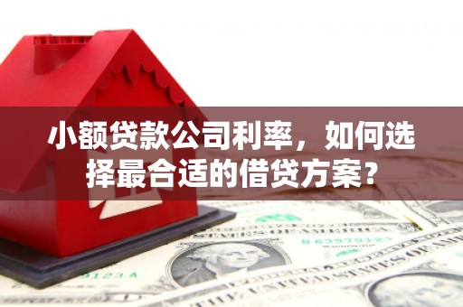 冀州小额贷款公司利率，如何选择最合适的借贷方案？
