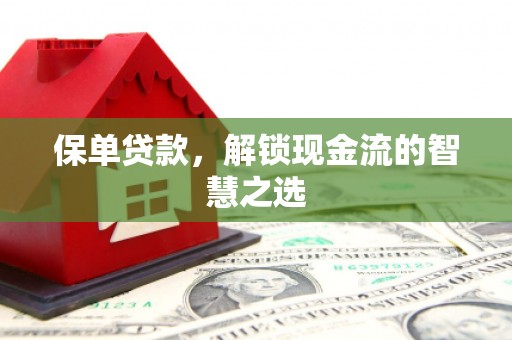 冀州保单贷款，解锁现金流的智慧之选