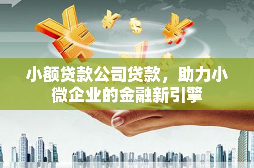 冀州小额贷款公司贷款，助力小微企业的金融新引擎
