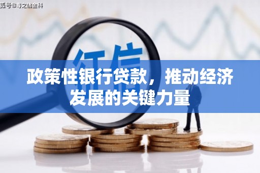 冀州政策性银行贷款，推动经济发展的关键力量