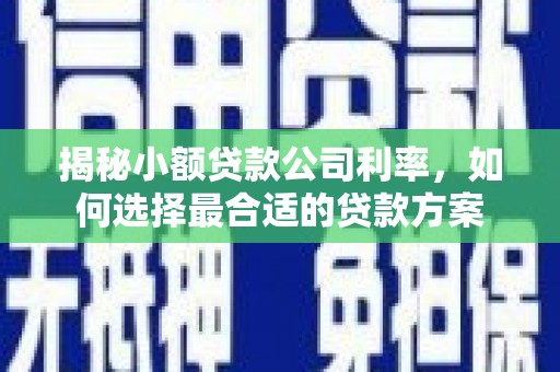 冀州揭秘小额贷款公司利率，如何选择最合适的贷款方案
