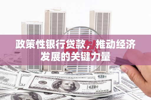 冀州政策性银行贷款，推动经济发展的关键力量