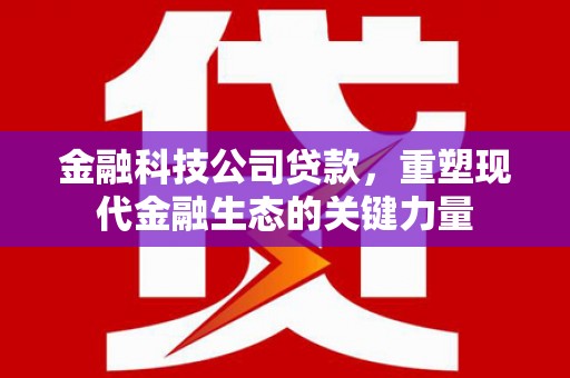 冀州金融科技公司贷款，重塑现代金融生态的关键力量