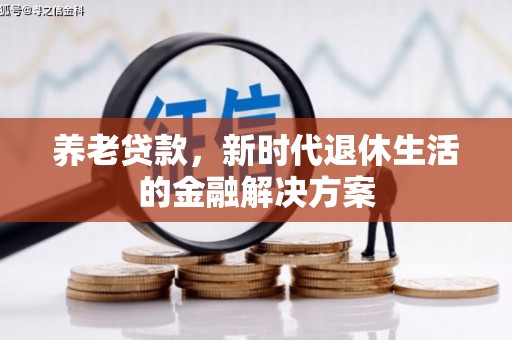冀州养老贷款，新时代退休生活的金融解决方案