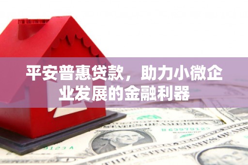 冀州平安普惠贷款，助力小微企业发展的金融利器