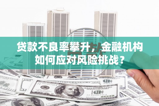 冀州贷款不良率攀升，金融机构如何应对风险挑战？