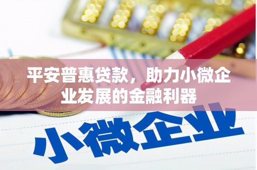 冀州平安普惠贷款，助力小微企业发展的金融利器