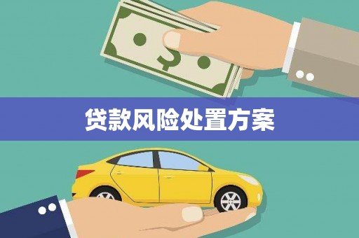 冀州贷款风险处置方案